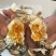 3两公蟹满膏肥度好品质保证
