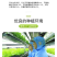 精品花生芽，大量上市，可视频看货，量大从优
