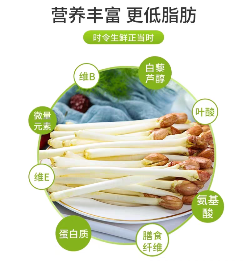 精品花生芽，大量上市，可视频看货，量大从优