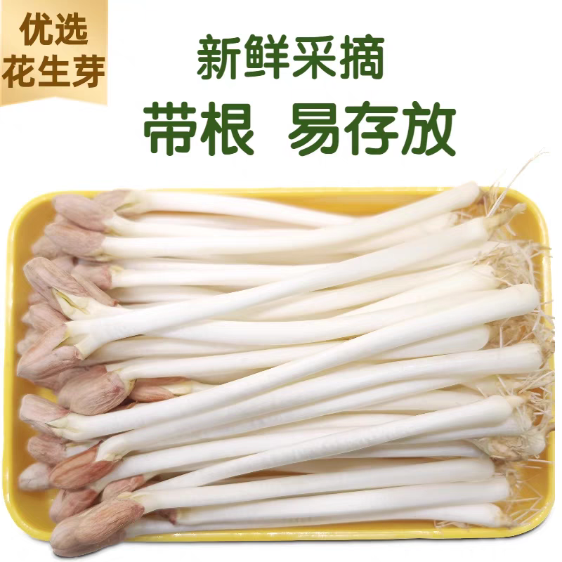 精品花生芽，大量上市，可视频看货，量大从优