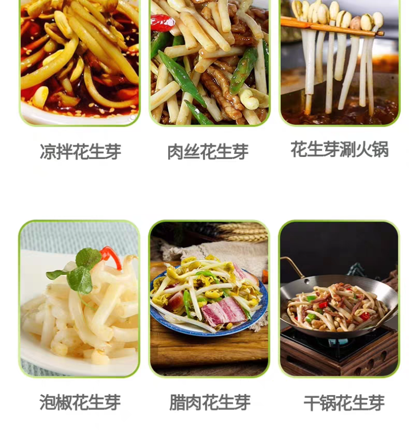 精品花生芽，大量上市，可视频看货，量大从优
