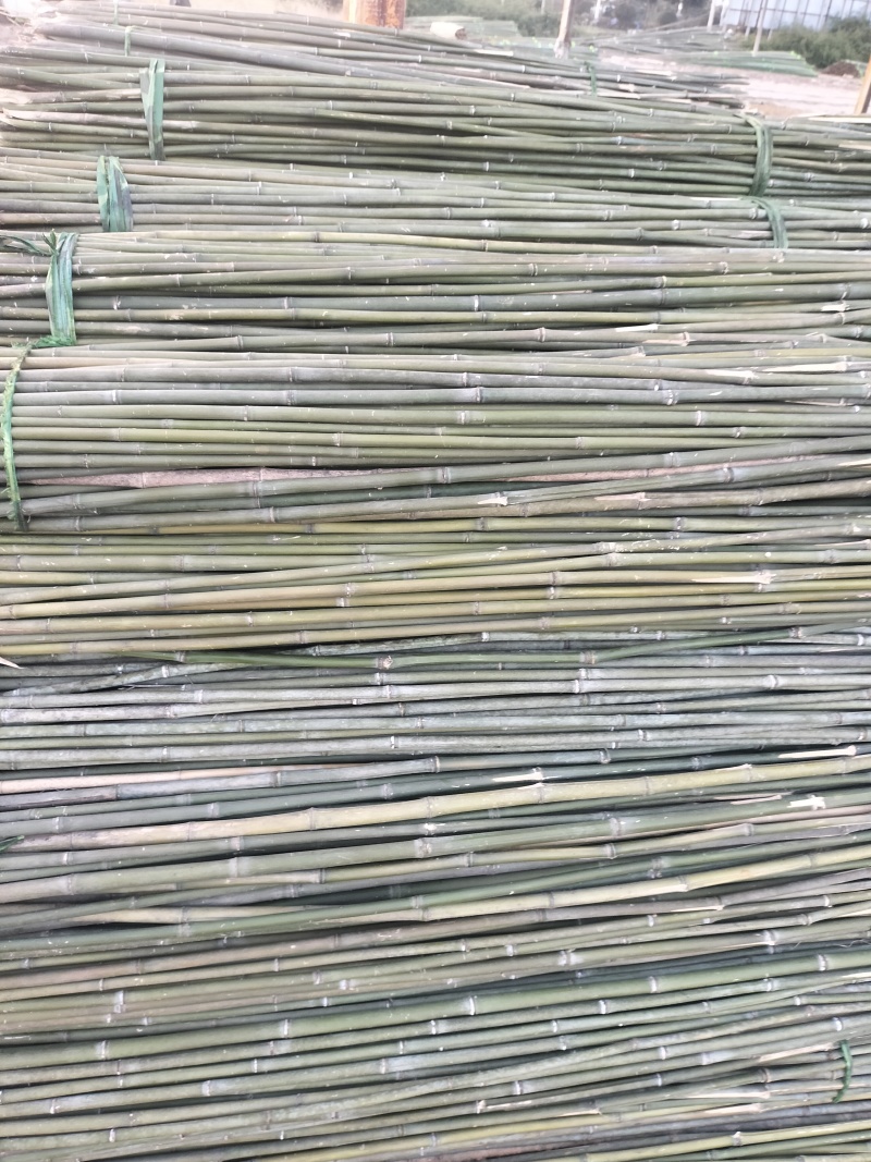 菜架竹