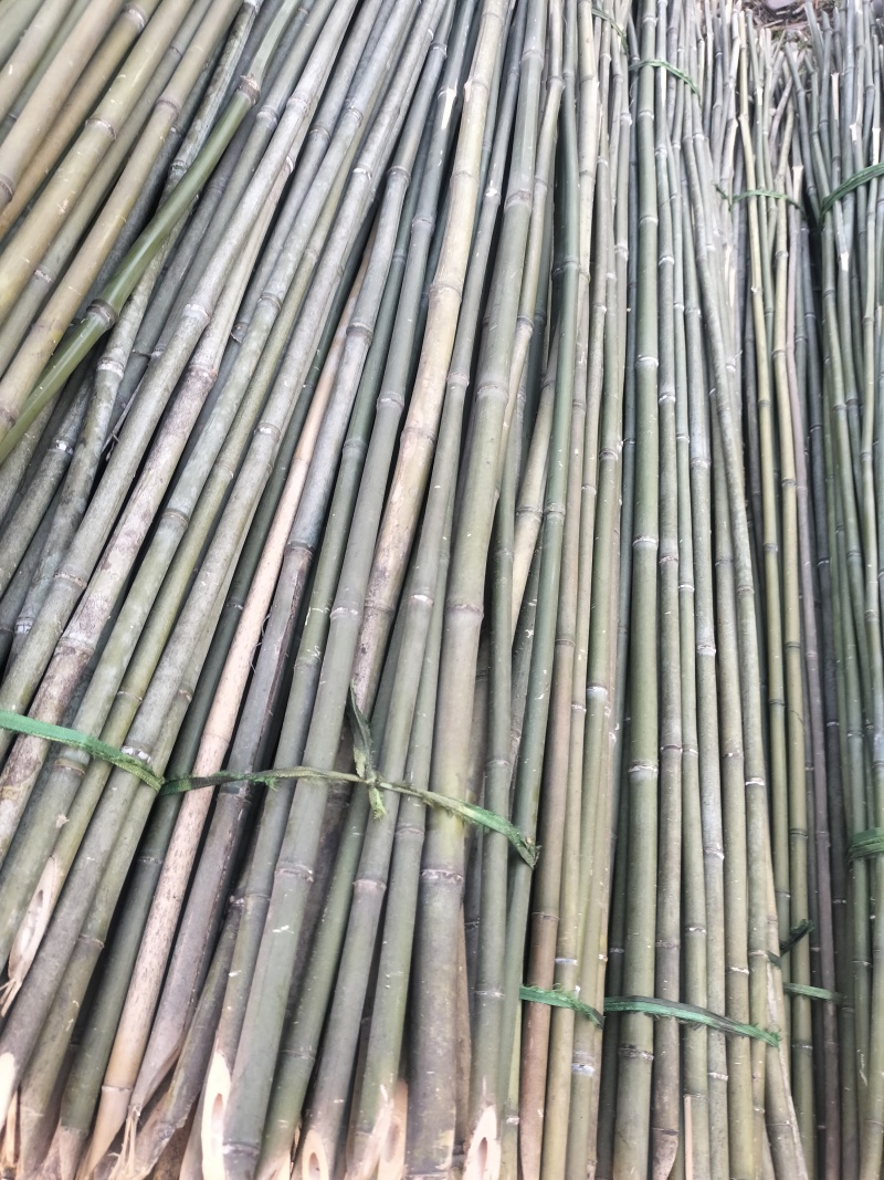 菜架竹