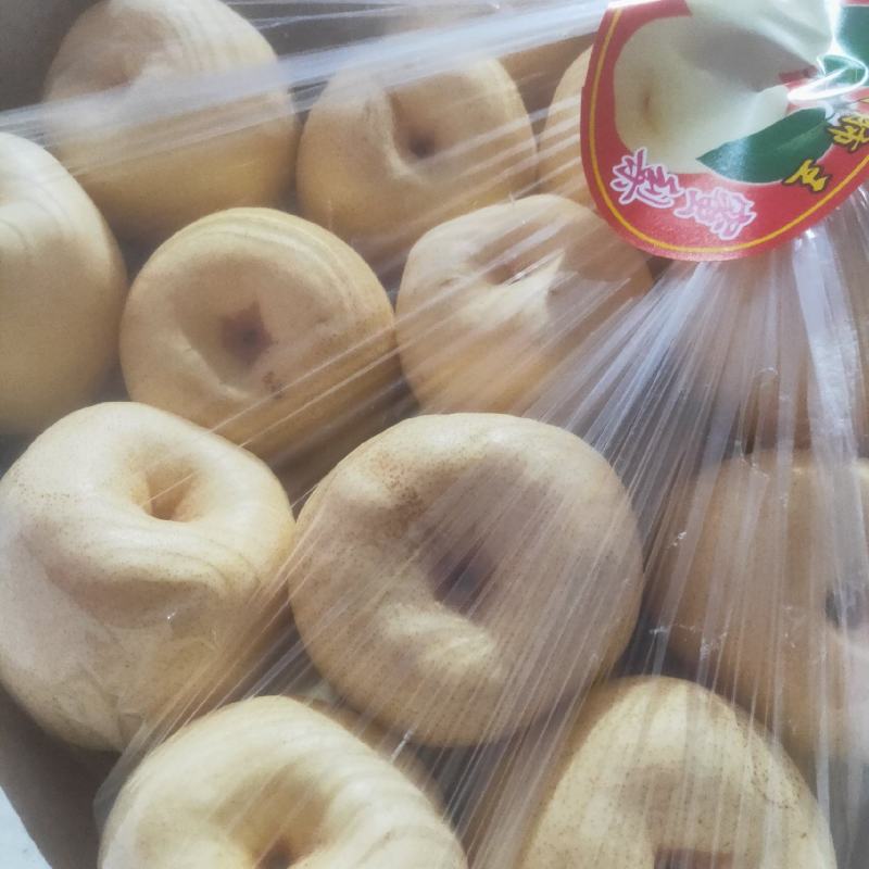精品酥梨，继续大量走货中