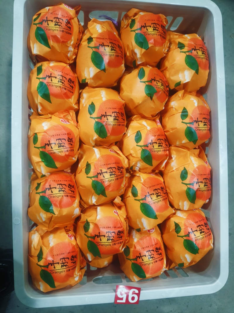 《纽荷尔脐橙》湖北脐橙，现摘现发，基地直供，代发全国