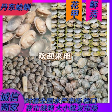 花甲辽宁丹东蛤蜊基地一手货源全国发货价格实惠