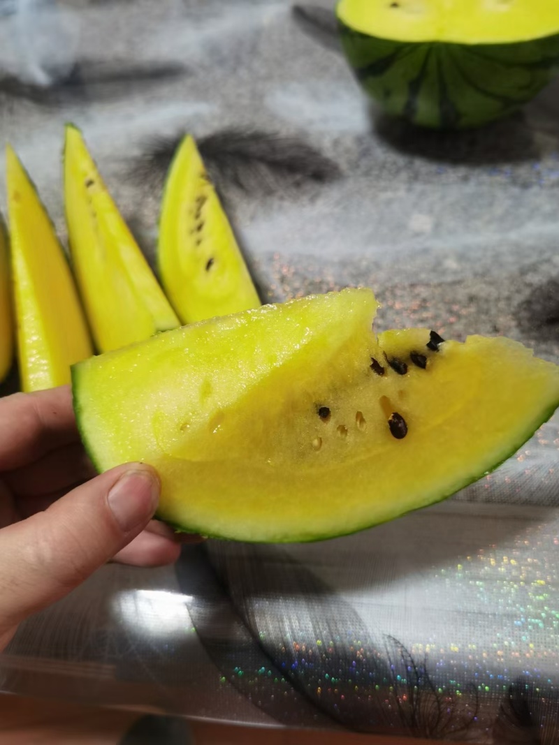 精品特小凤，产地一手货源，现摘现发，品质**，合作共赢