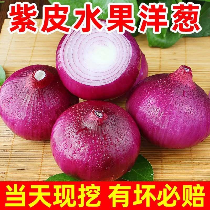 山东红皮洋葱，一手货源，品质保证，量大从优！欢迎来电