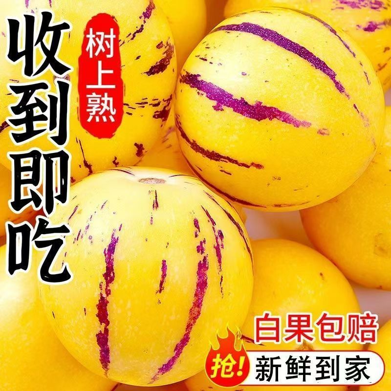 【黄肉】一件代发云南人参果当季新鲜黄肉石林人生果大果特低糖