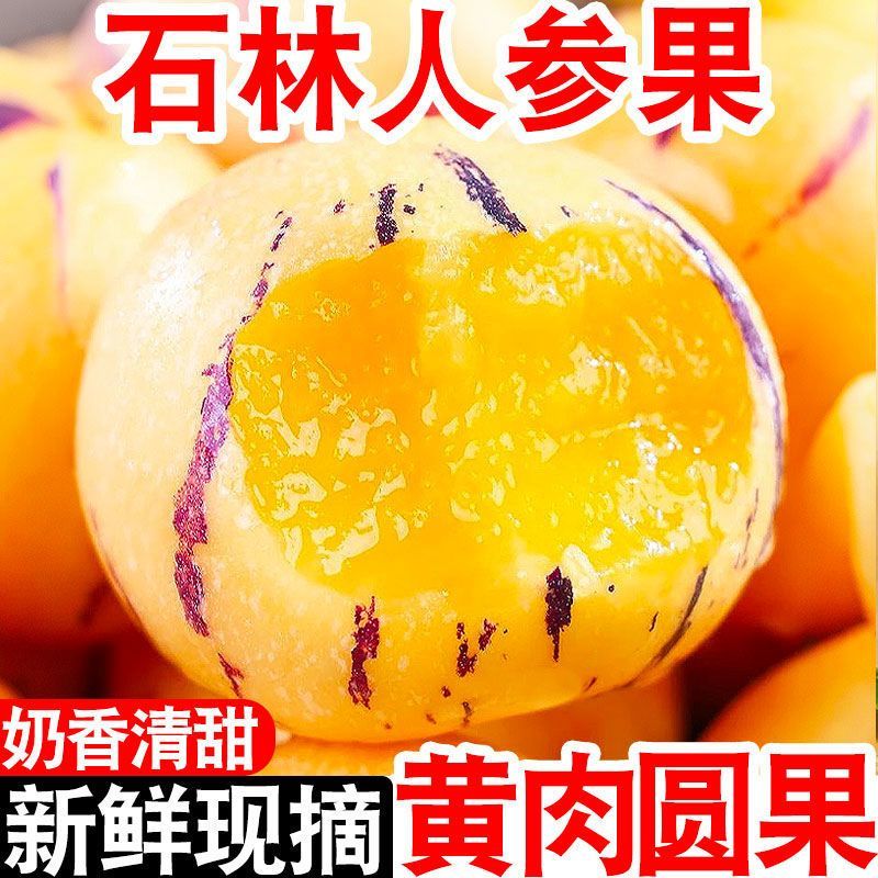 【黄肉】云南人参果当季新鲜黄肉石林人生果大果特大黄果低糖