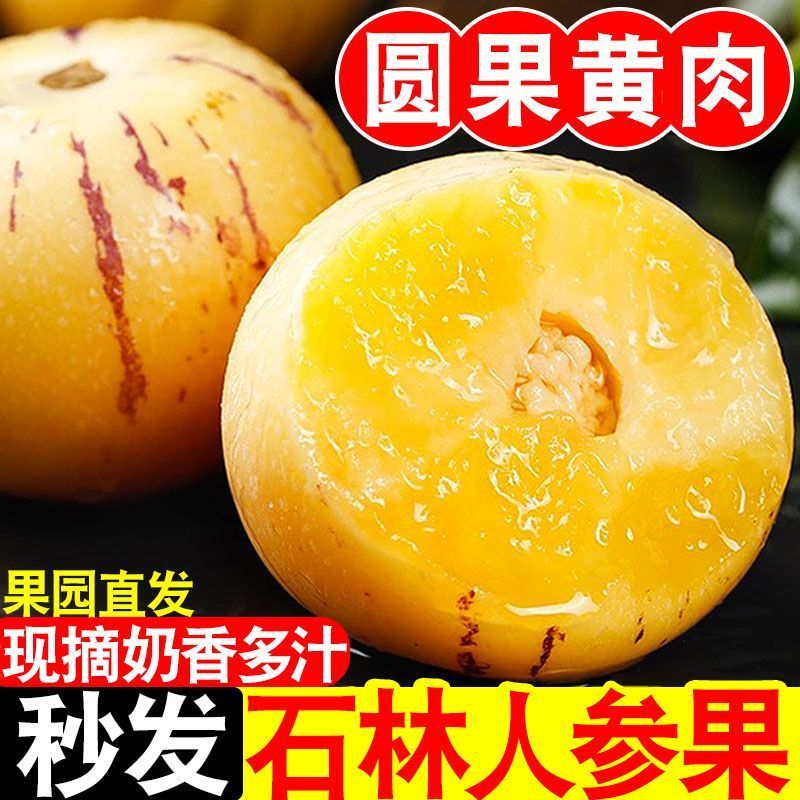 【黄肉】云南人参果当季新鲜黄肉石林人生果大果特大黄果低糖
