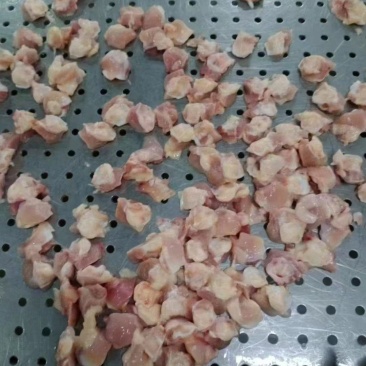掌中宝