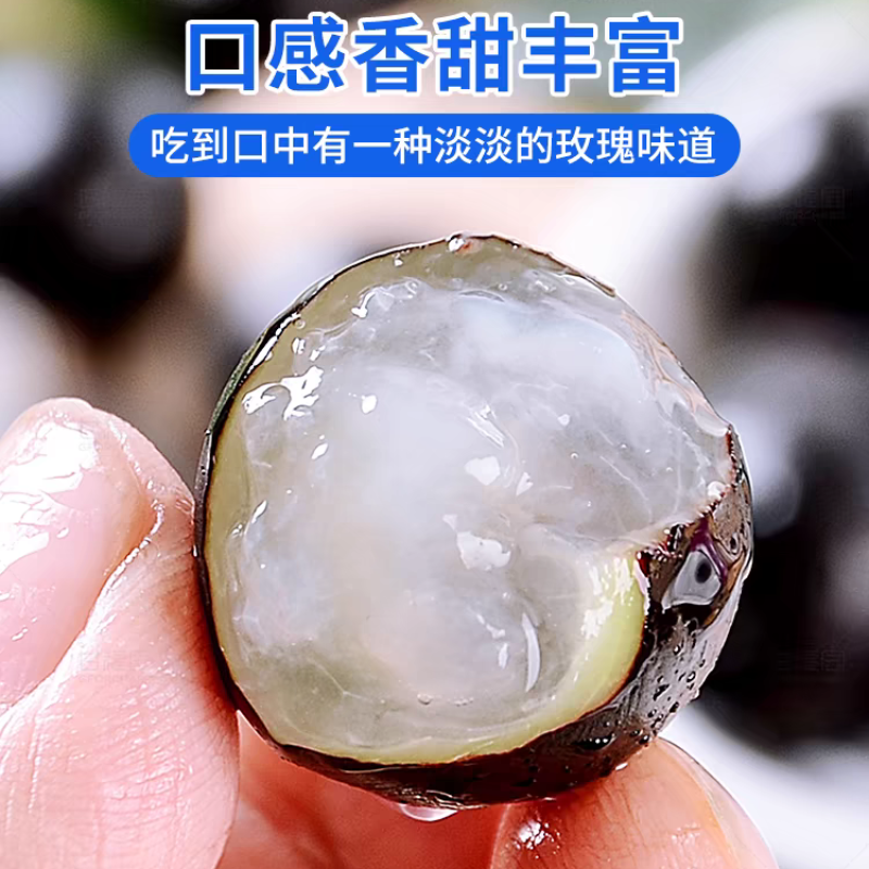 一件代发嘉宝果鲜果树葡萄高端品种新鲜水果孕妇现摘直发当季养颜