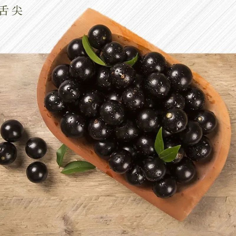 一件代沙巴嘉宝果现摘树葡萄鲜果嘉宝果新鲜水果孕妇稀有果园
