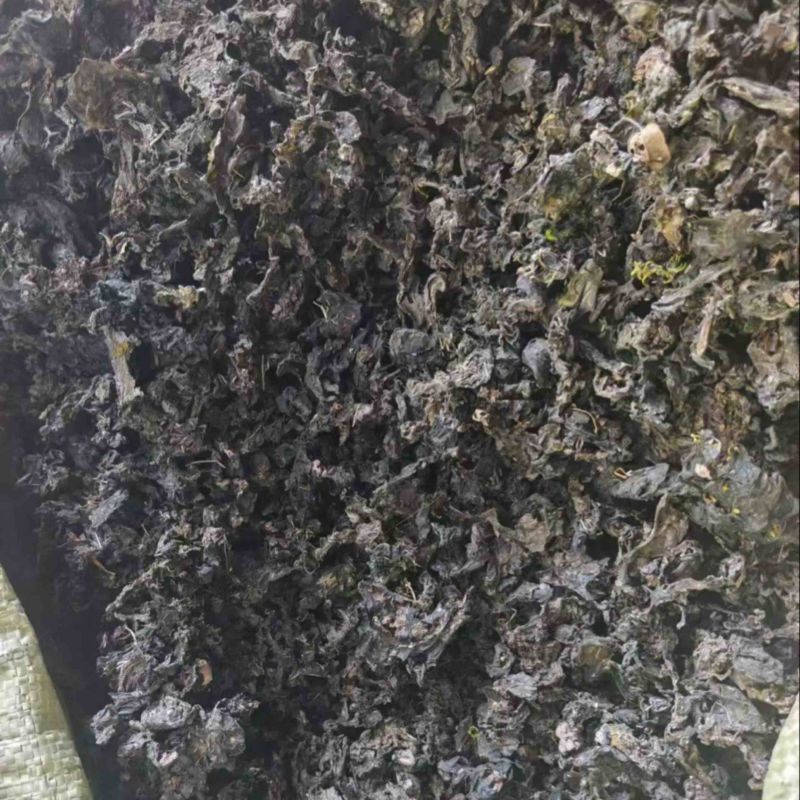 地皮菜过筛货干净一斤泡十斤地达菜地软雷公菌