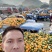 湖北省丹江口市习家店镇早熟蜜桔上市中