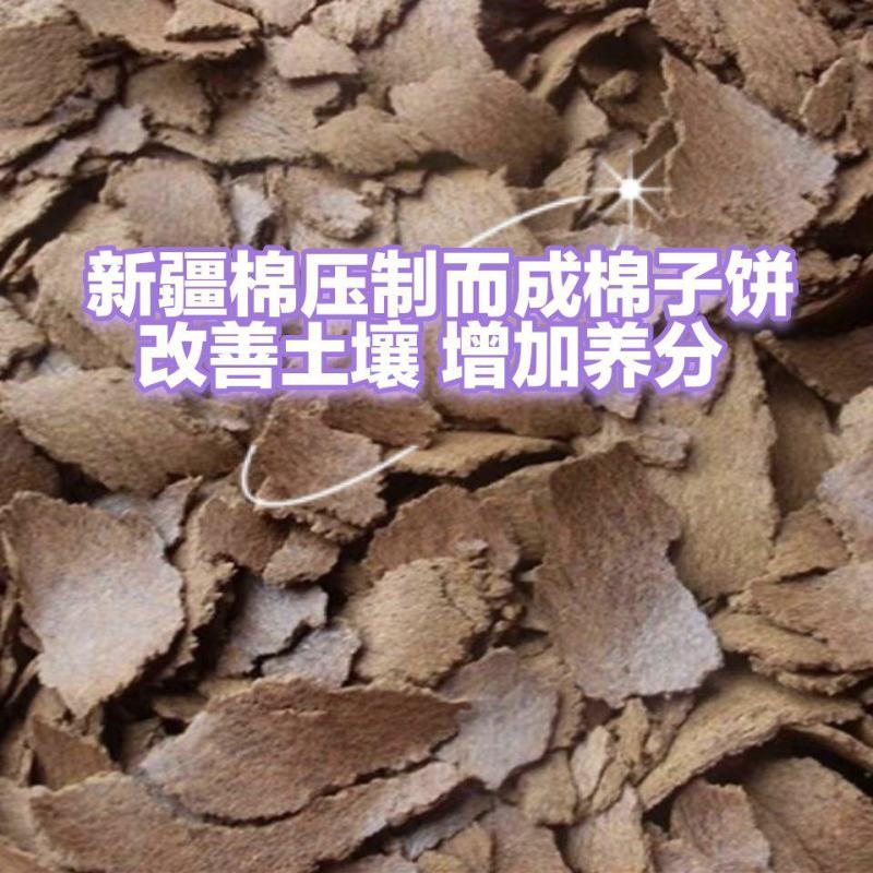 新疆棉脱绒一级棉子压制籽饼适合五谷杂粮，果蔬花卉药材底肥