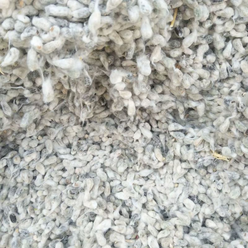 新疆棉脱绒一级棉子压制籽饼适合五谷杂粮，果蔬花卉药材底肥