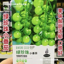 绿珍珠水果番茄种子绿色樱桃番茄种籽贼不偷番茄种子酸甜浓郁