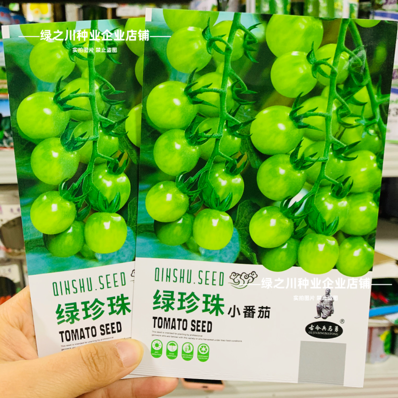 绿珍珠水果番茄种子绿色樱桃番茄种籽贼不偷番茄种子酸甜浓郁