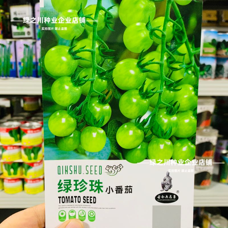 绿珍珠水果番茄种子绿色樱桃番茄种籽贼不偷番茄种子酸甜浓郁