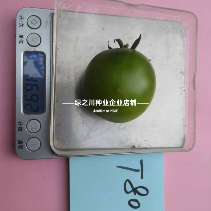 绿珍珠水果番茄种子绿色樱桃番茄种籽贼不偷番茄种子酸甜浓郁