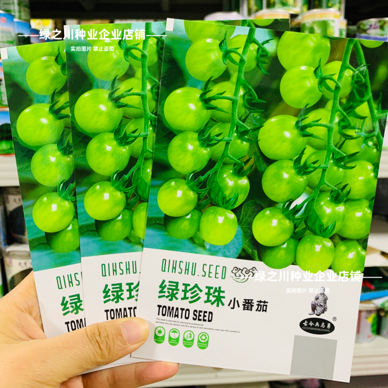 绿珍珠水果番茄种子绿色樱桃番茄种籽贼不偷番茄种子酸甜浓郁