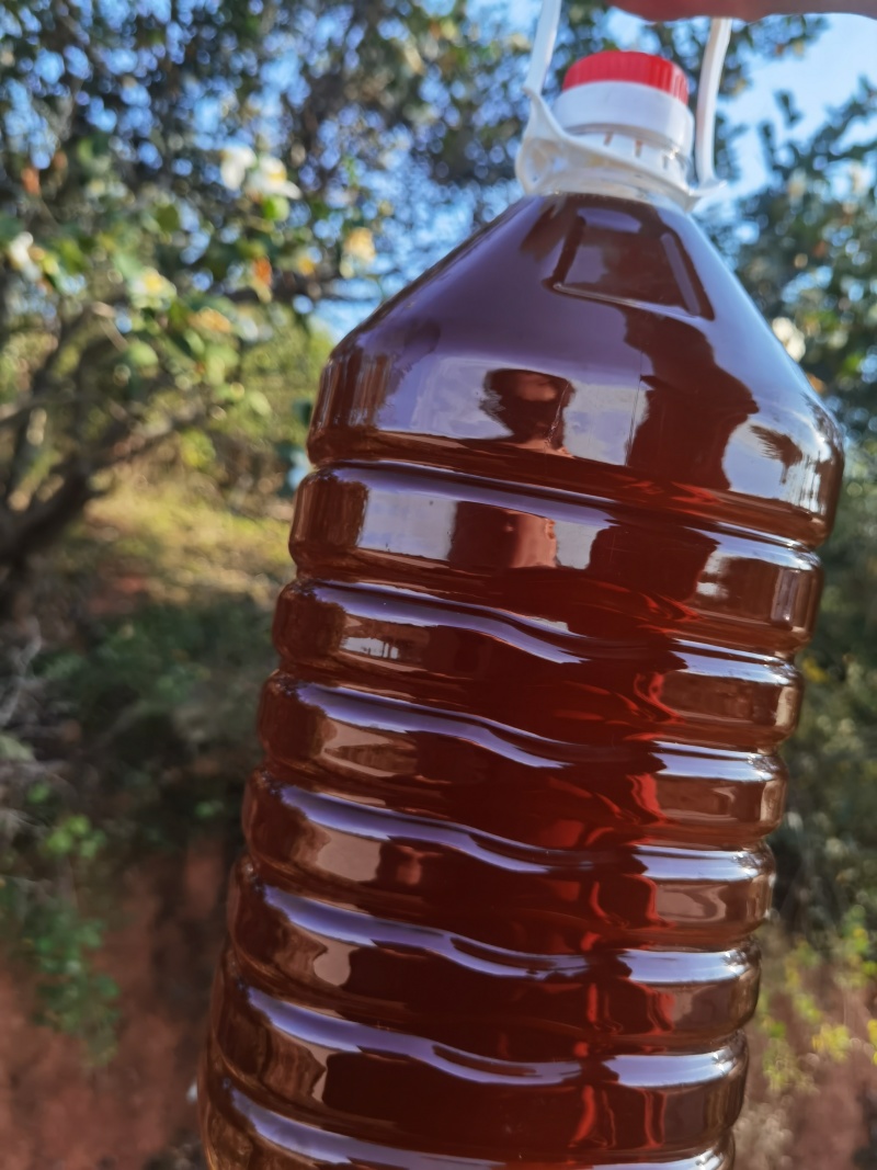 老茶油