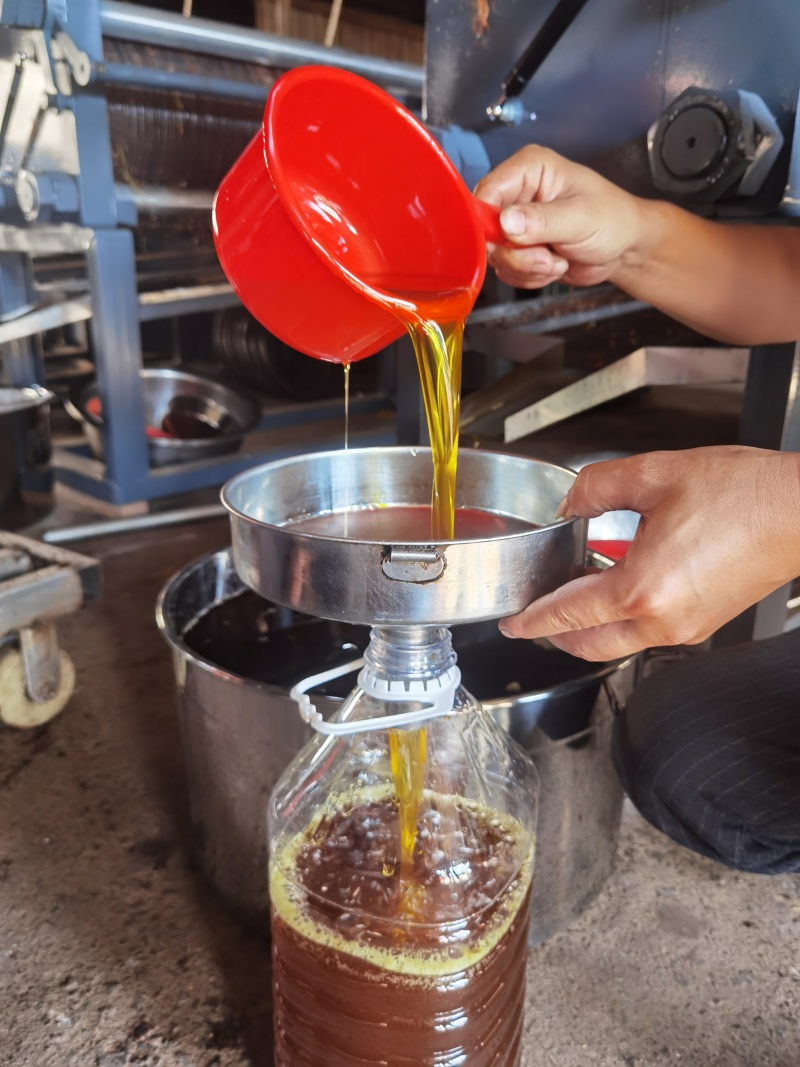 老茶油