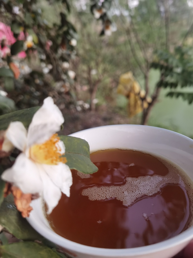 老茶油