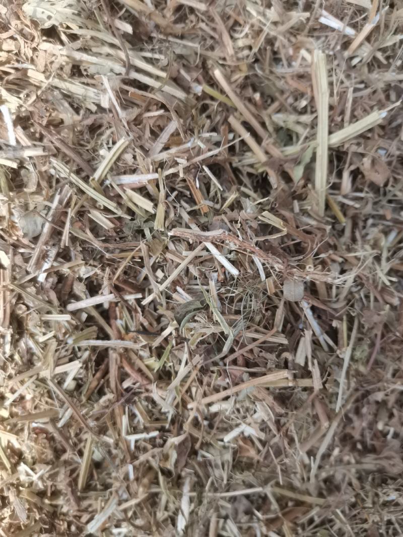 生产花生饲料