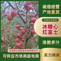 苹果，红富士苹果，高山上的水果，大量上市欢迎各位老板