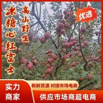 高山野生冰糖心红富士苹果诚信代办量大果多颜色好口感佳