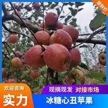 正宗冰糖心野生丑苹果大量上市诚信代办脆甜化渣市场平台电商