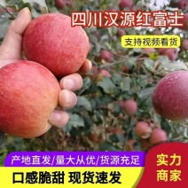 汉源红富士苹果糖心丑苹果大量上市全国供货