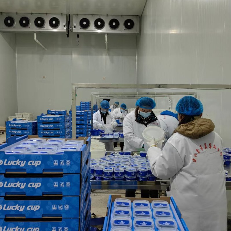 建水蓝莓开始大量上市了，需要的老板速联系