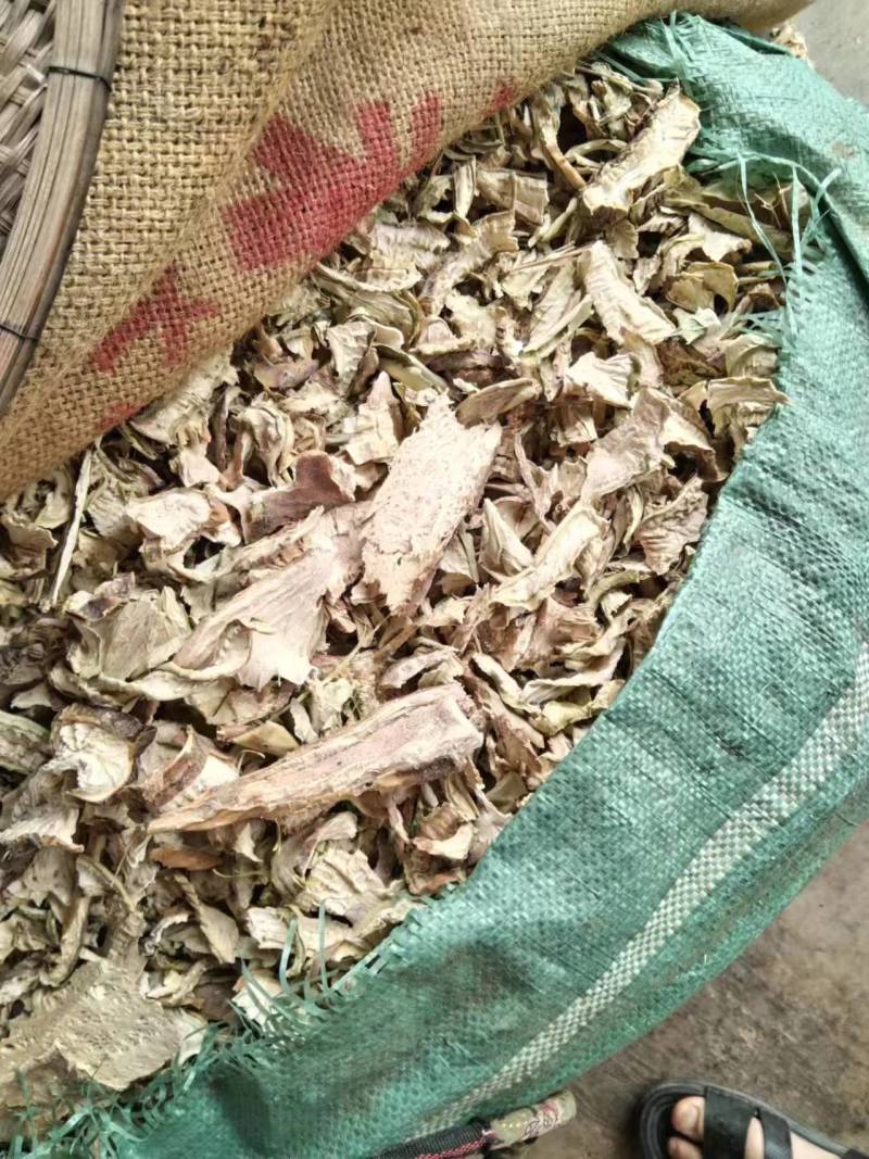 需要仙人掌干片的联系