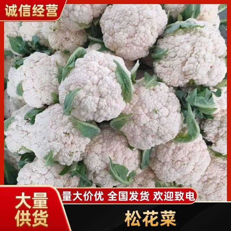 精品花菜，大量有货，市场商超电商，全国发货！