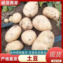 土豆精选荷兰十五，希森6号，V7土豆，黄皮黄心，视频看货