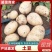土豆精选荷兰十五，希森6号，V7土豆，黄皮黄心，视频看货