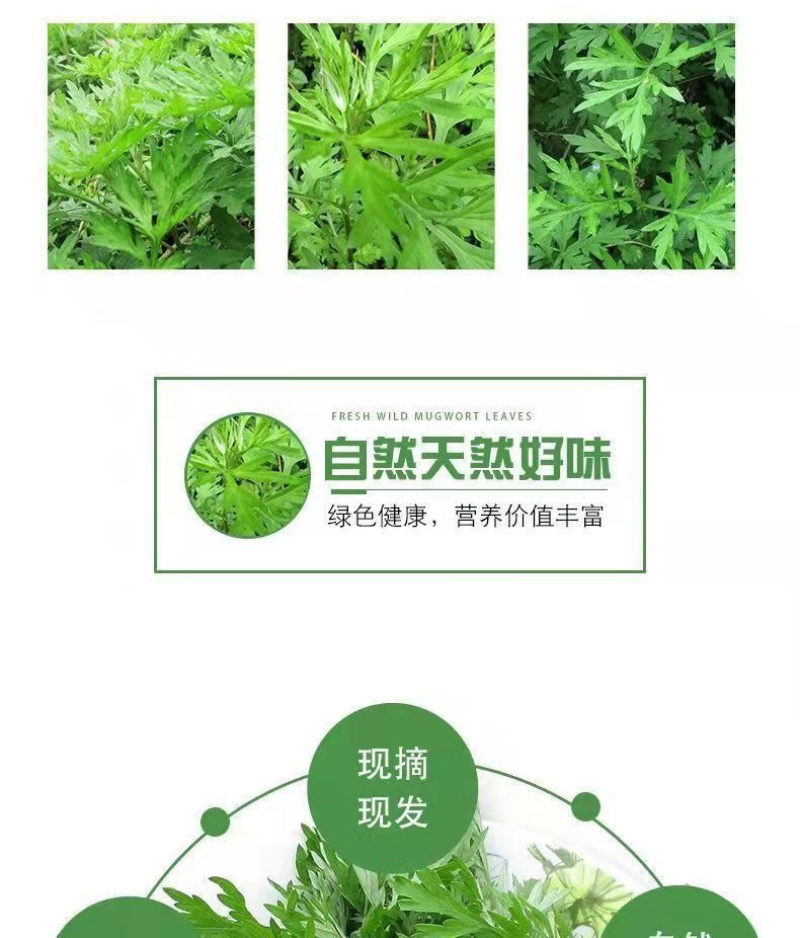 艾草新鲜食用艾草可做青团糍粑粑清明果艾叶艾蒿艾米果现摘