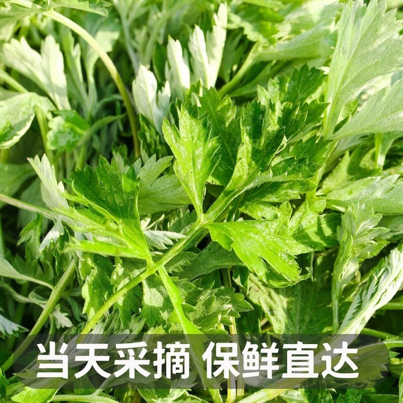 艾草新鲜食用艾草可做青团糍粑粑清明果艾叶艾蒿艾米果现摘