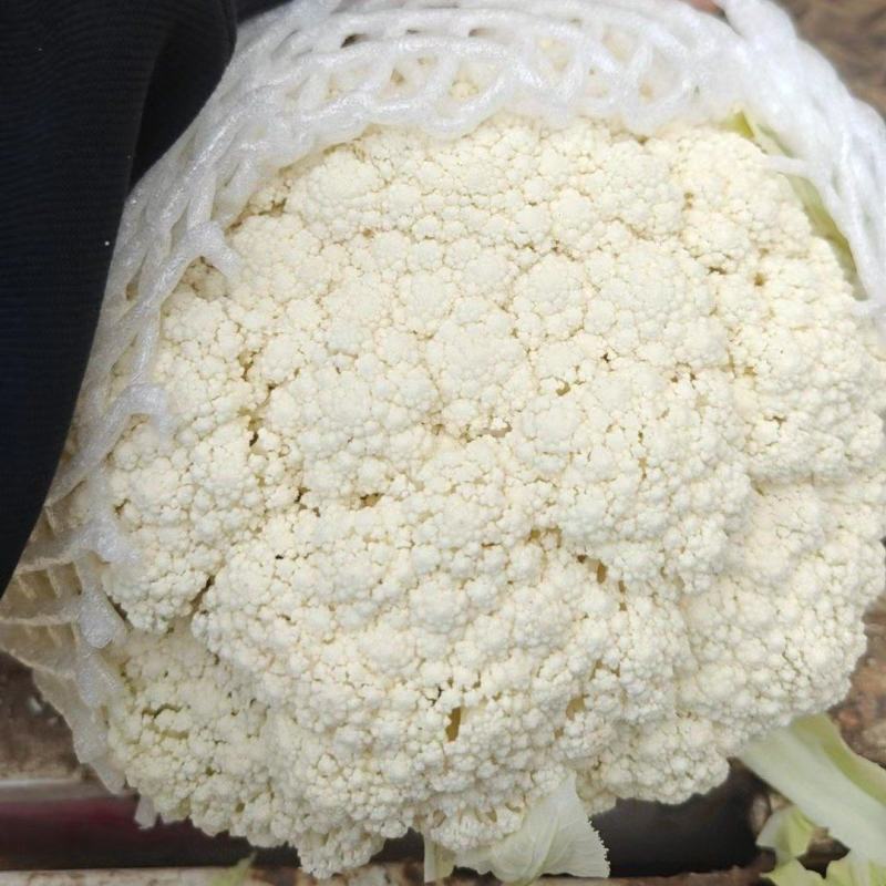云南精品花菜