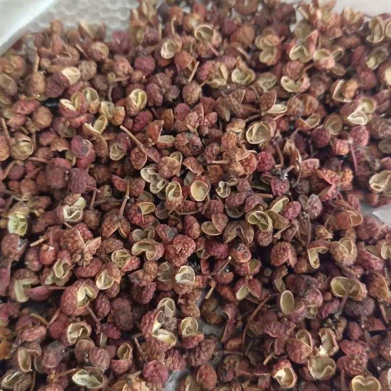 山东花椒