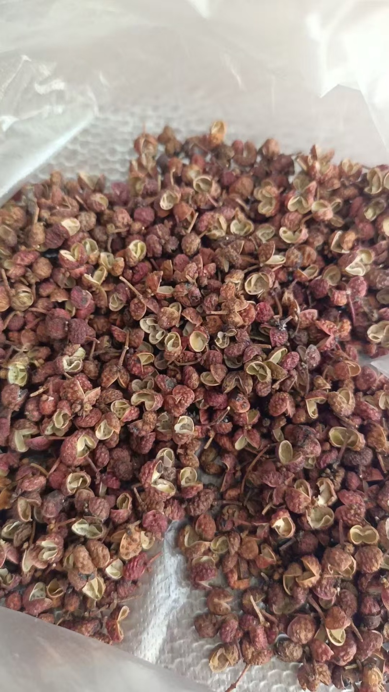 山东花椒