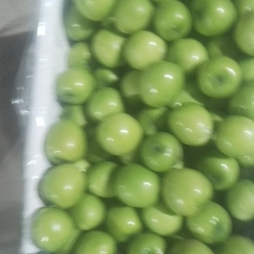 云南天密青枣