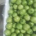 云南天密青枣