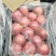 【精品】红富士苹果货源充足脆甜爽口量大从优