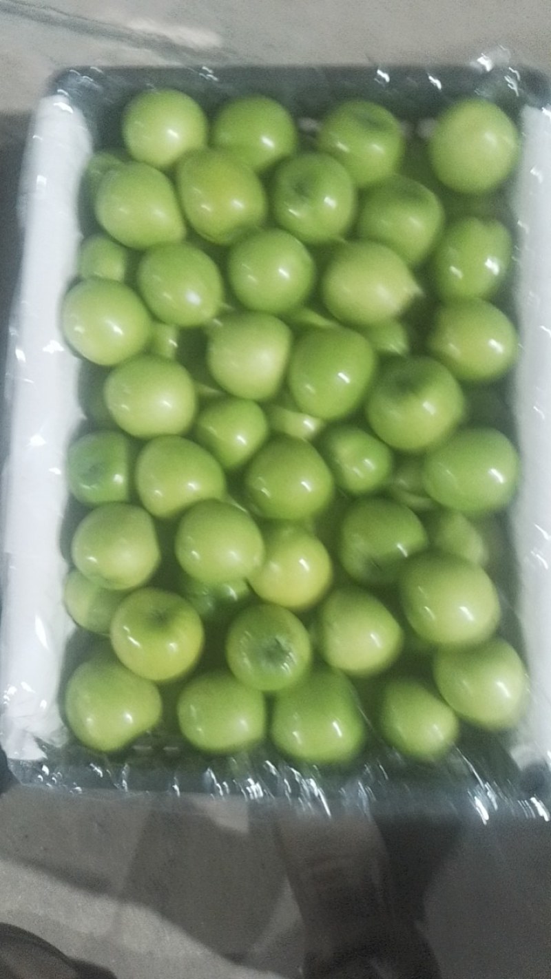 云南天密青枣