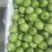 云南天密青枣
